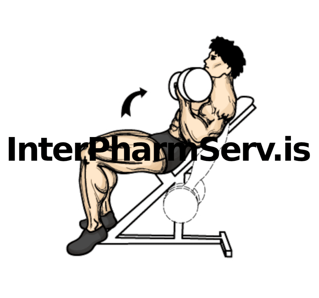 Incline Dumbbell Biceps Curl Exercise