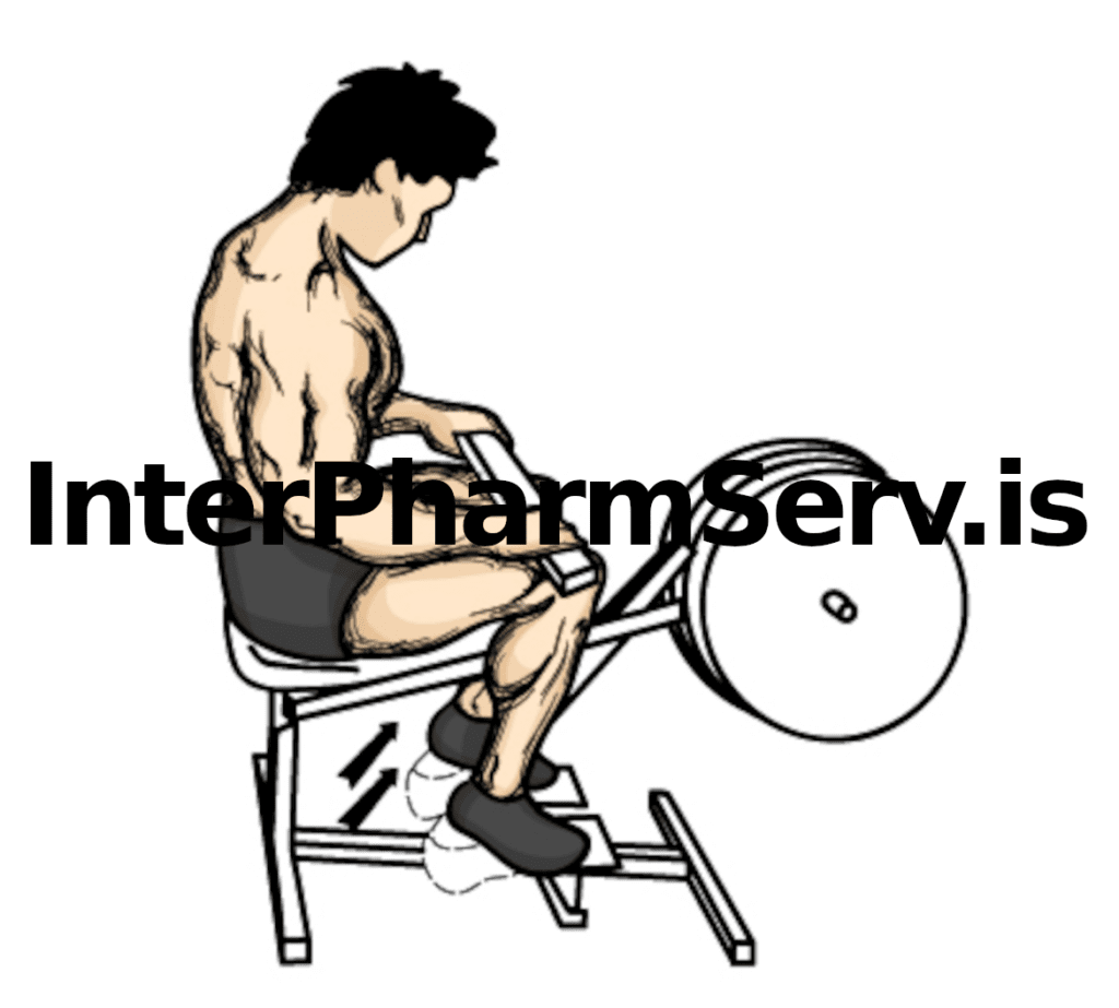 machine seated calf raise is an isolation exercise