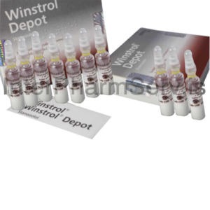Order Anabolic steroid stanozolol Winstrol depot
